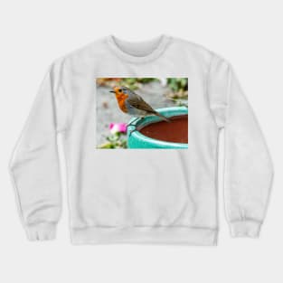 Robin Red Breast Bird Photography Poster Crewneck Sweatshirt